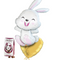 Easter Bunny and Chocolate Egg Gift Set