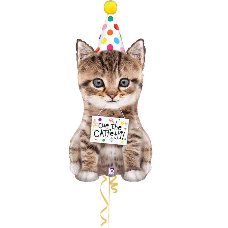 Cute Kitten Birthday