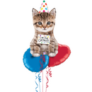 Cute Kitten Birthday