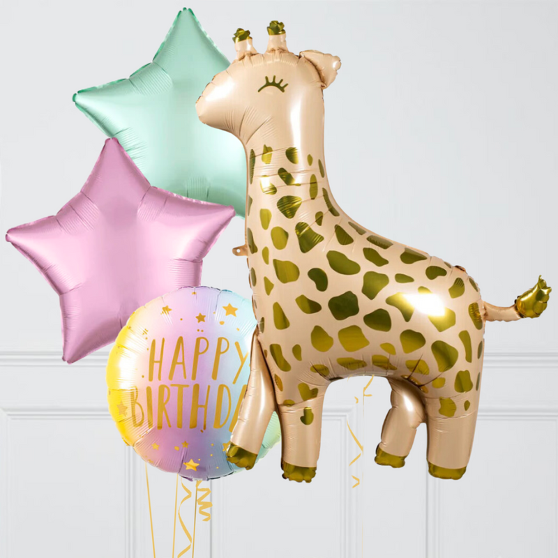 Birthday Giraffe Inflated Balloon Package