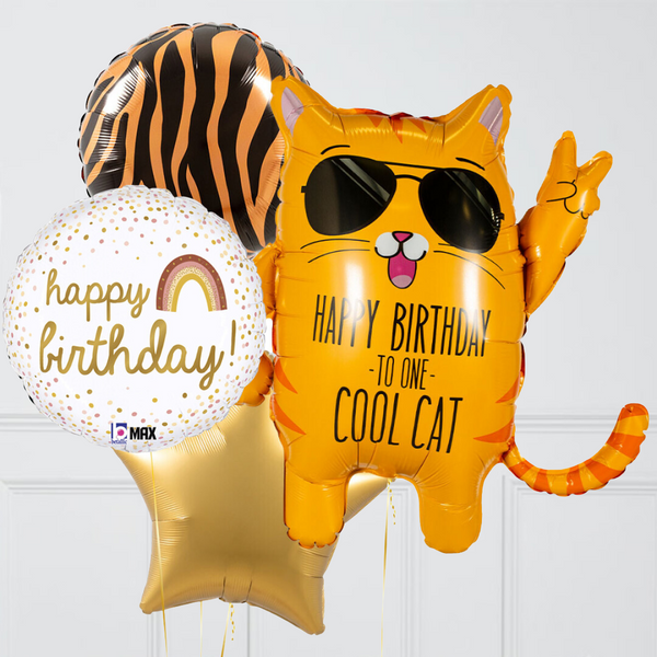Cool Cat Birthday Vibes Inflated Balloon Package