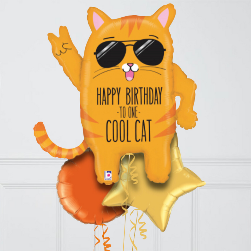 Happy Birthday Cool Cat Inflated Foil Balloon Bunch