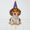 Party Dog Birthday Inflated Balloon Bouquet