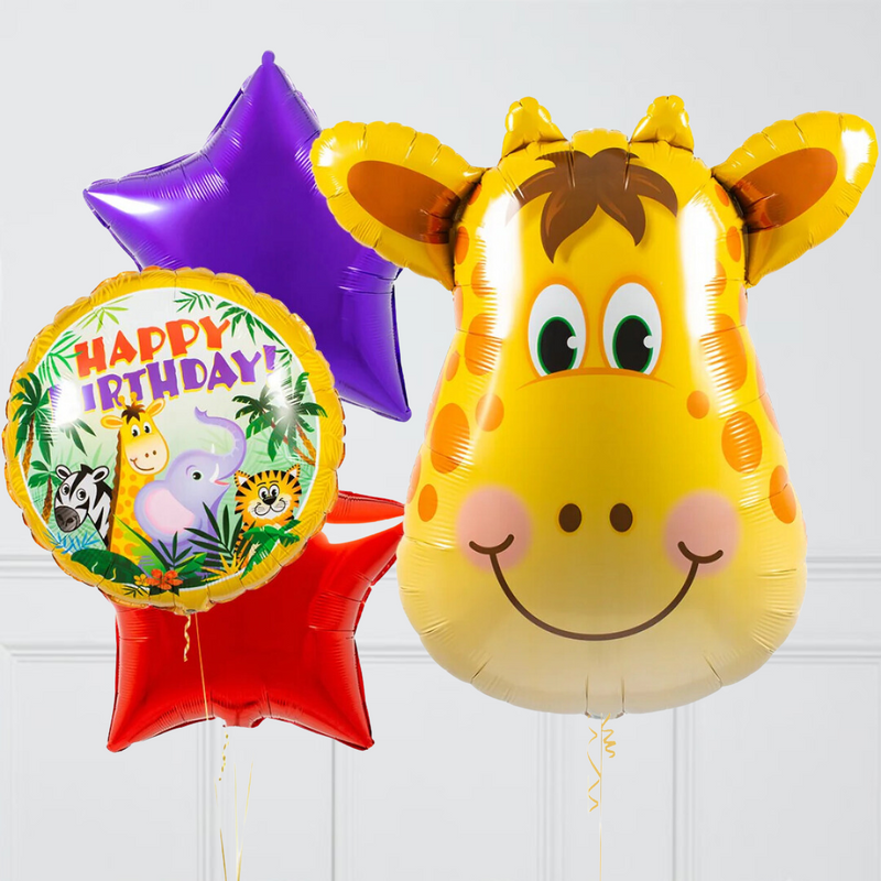 Safari Rainbow Giraffe Balloon Package